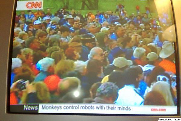 monkeys-ftw1