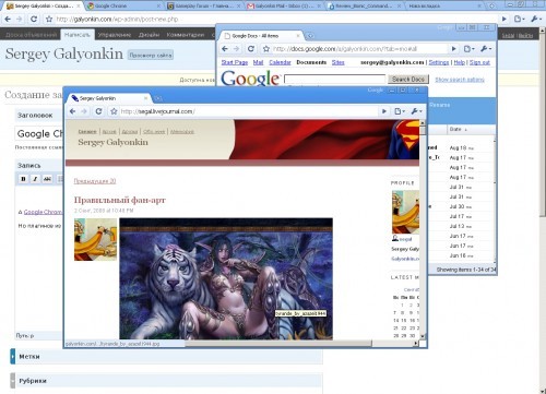 google-chrome google chrome 500x361 Google Chrome