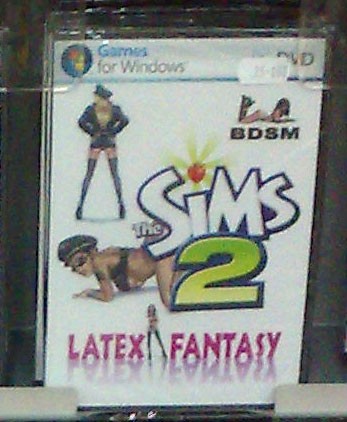 sims2-latex