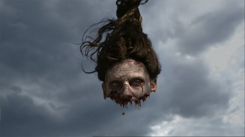 snapshot20081221021300 500x281 Diary of the Dead