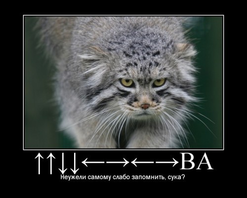 motivator9363286 500x400 DVD бокс с манулом