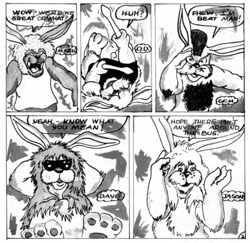 rockrabbits2 rockrabbits2 500x485 Stupid Comics