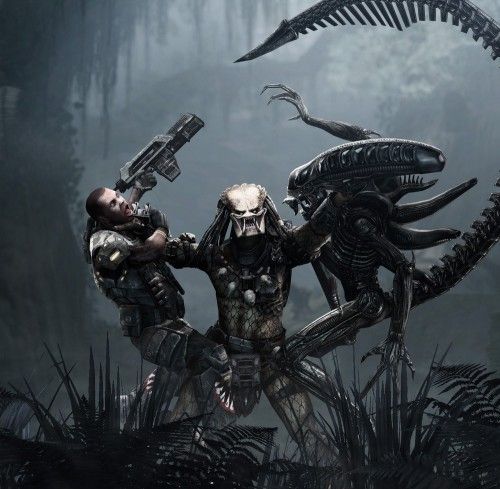 AVP AVP