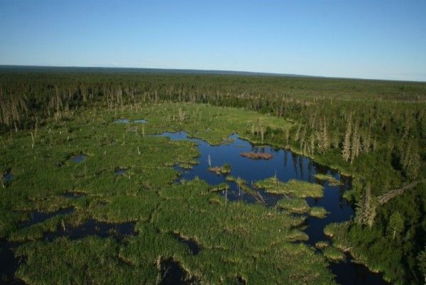 beaver-dam-3