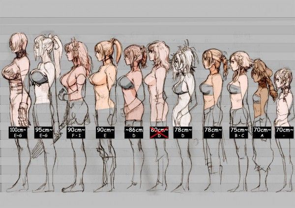 breastsize