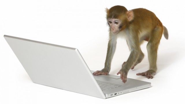 monkey_typing