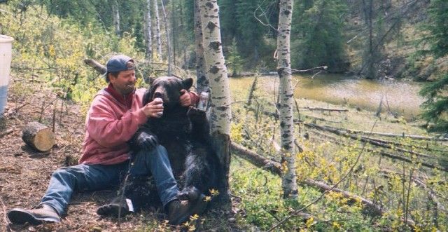 bear2 640x331 Министерство образования России объявило тендер на движок русского WoW